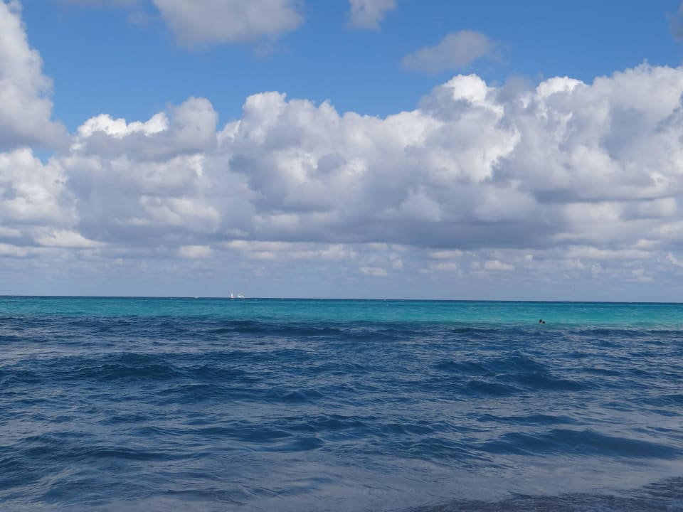 Karibik Valentin El Patriarca Varadero