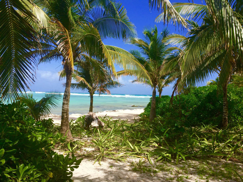 Wie im Paradies, hier der Weg zum Meerwasserpool Grand Palladium Select White Sand Resort & Spa