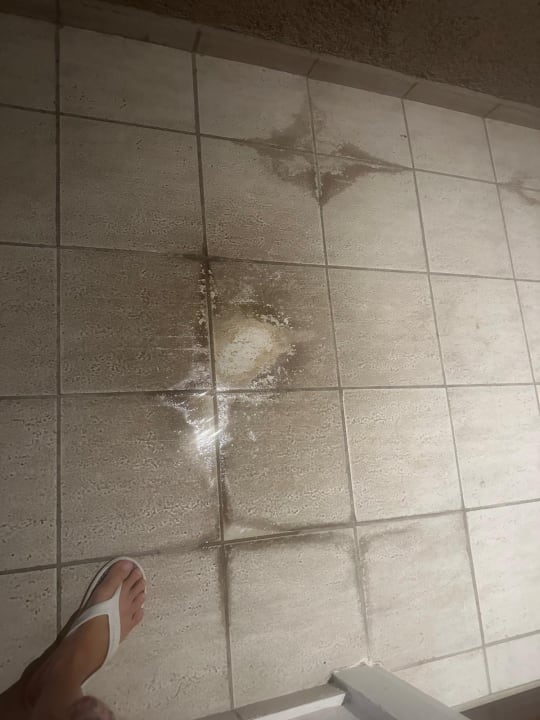 Zimmer Grecotel LUXME Dama Dama