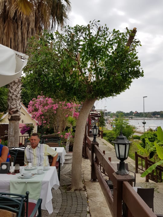 Außenansicht Clover Magic Nova Beach