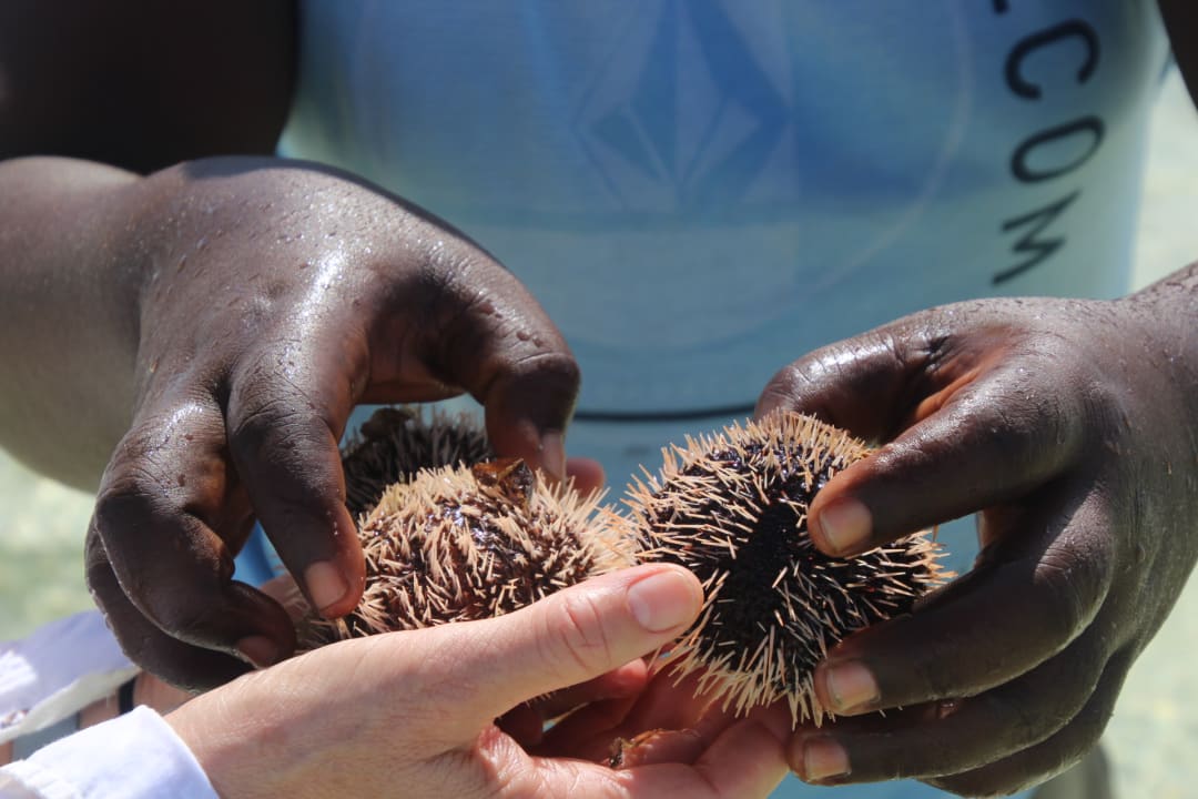 Sonstiges Neptune Pwani Beach Resort & Spa