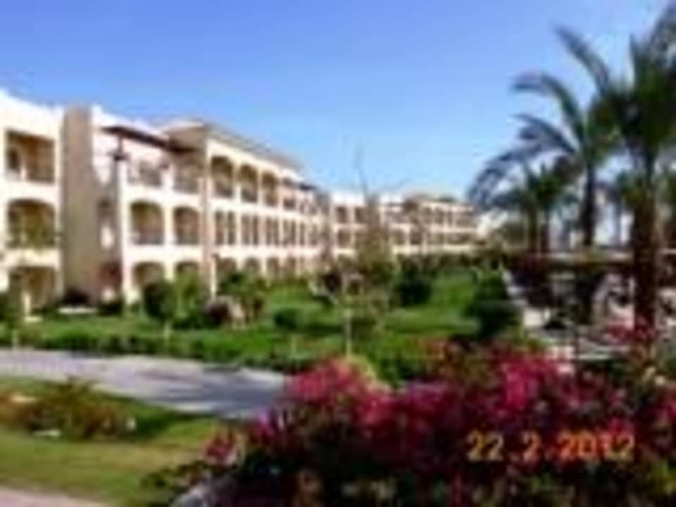 Schöne Blumen Jaz Bluemarine