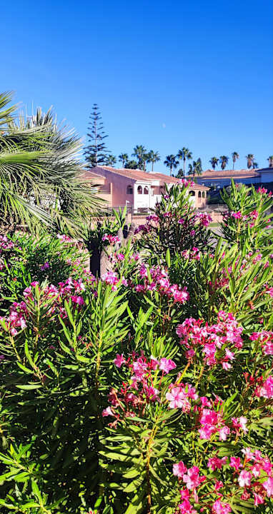 Außenansicht Los Amigos Beach Club