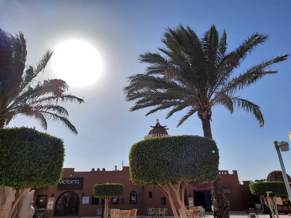 Gartenanlage SUNRISE Royal Makadi Resort