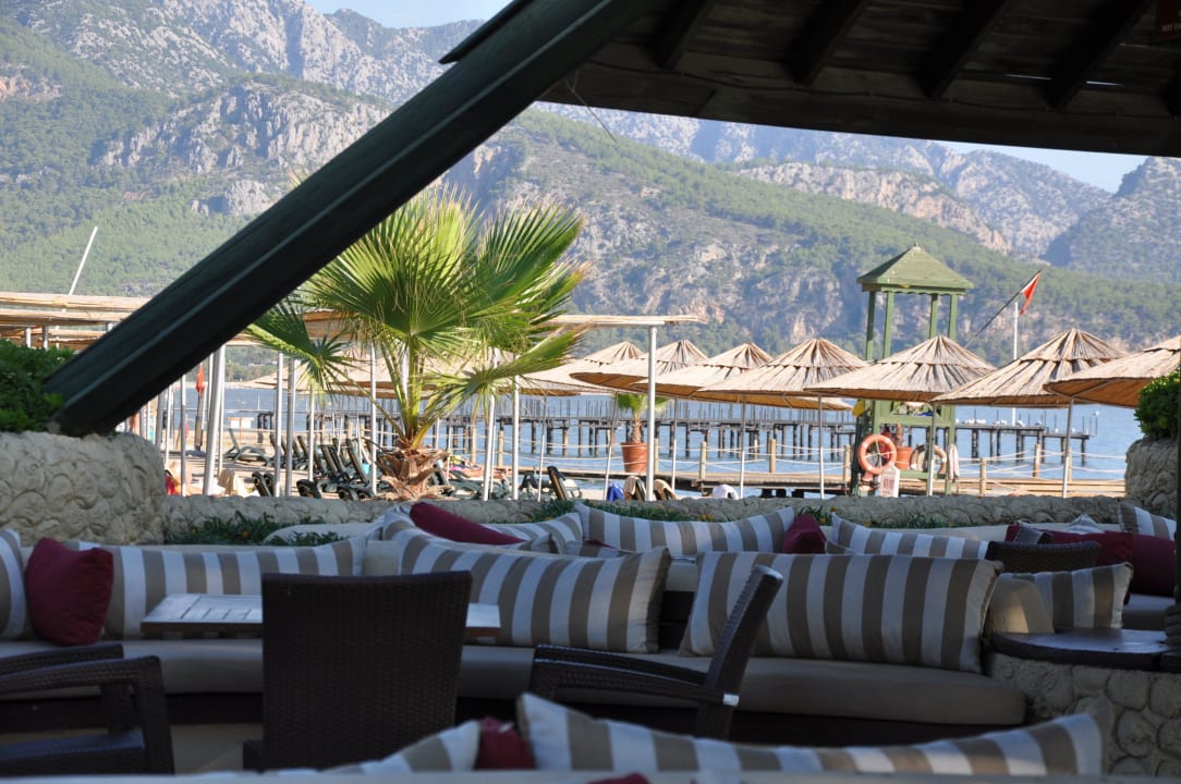 Bar na plaży Balmy Foresta