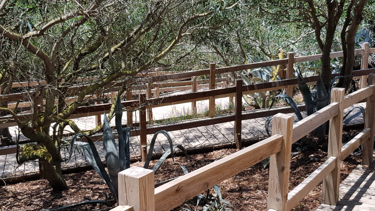 Gartenanlage Fuerte Costa Luz (Fuerte Conil-Resort)