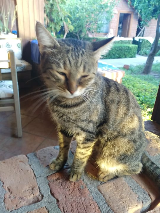 Sonstiges Can Garden Beach