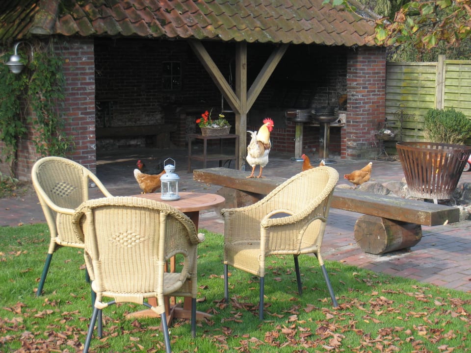 Grill und Lagerfeuerplatz Ferienwohnungen/ Ferienhäuser Bauernhof Onken