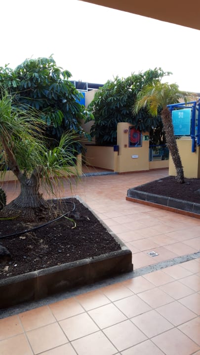 Gartenanlage BLUESEA Jandia Luz