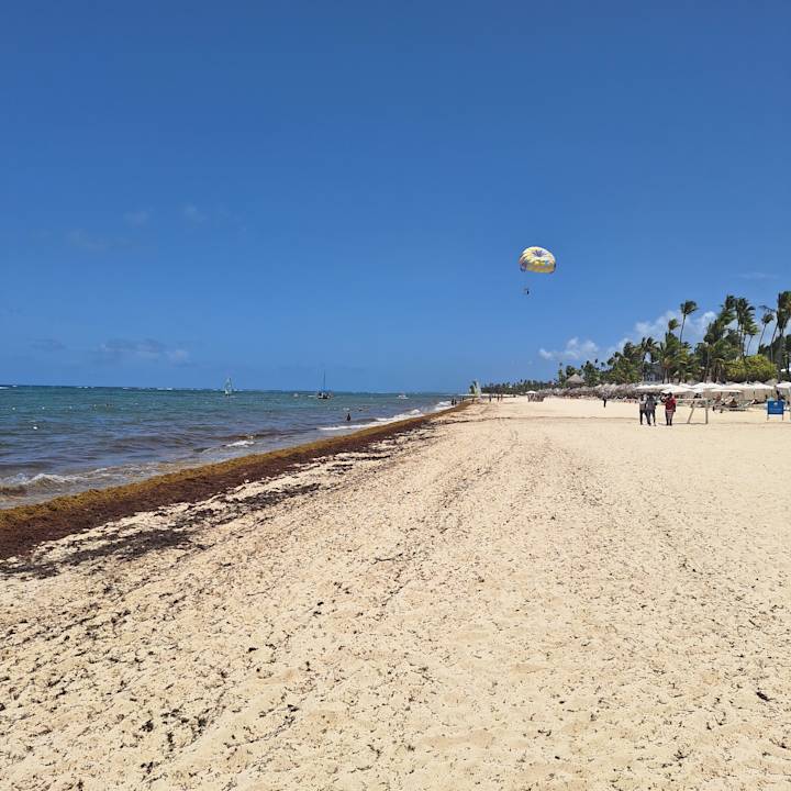 Strand Hotel Riu Palace Bavaro