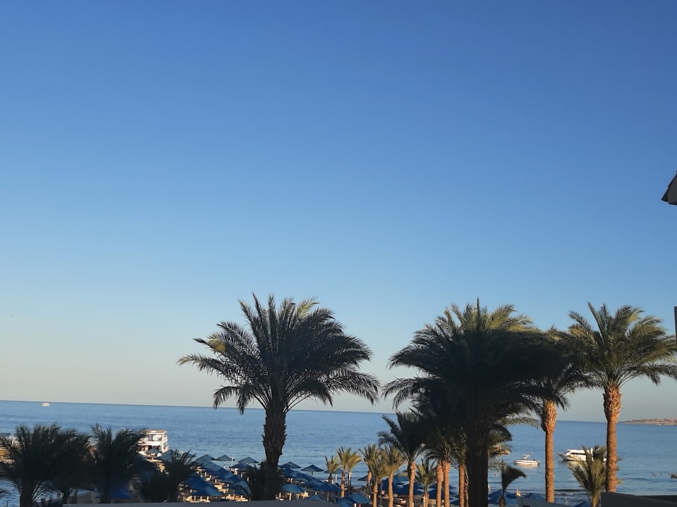 Ausblick Beach Albatros Resort