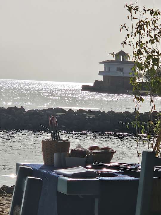 Ausblick Desert Rose