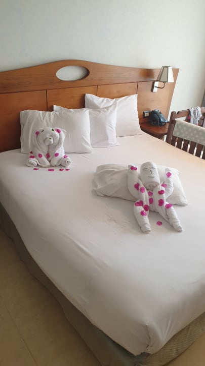 Zimmer Stella Garden Resort & Spa, Makadi Bay