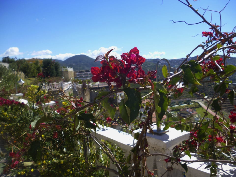 Цветочки) Hotel Goldcity Tourism Complex