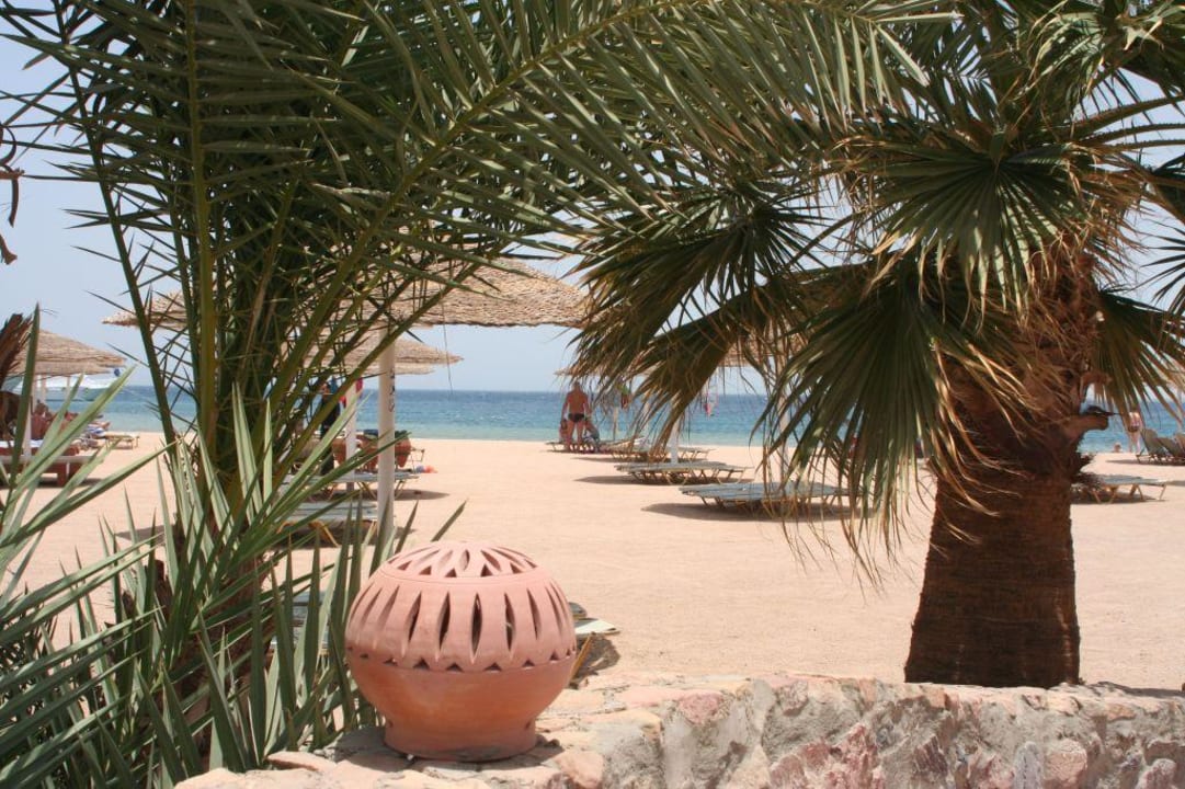 Strand Eagles Paradise Abu Soma