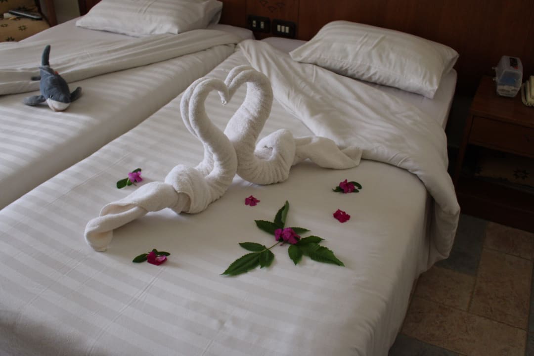 Zimmer Three Corners Equinox Beach Resort