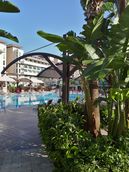 Pool Aydinbey Kings Palace & Spa