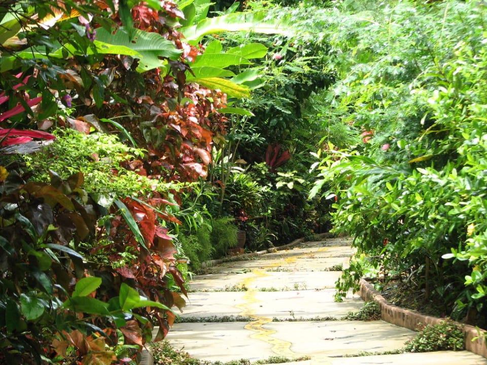 Garten Elephant Hills