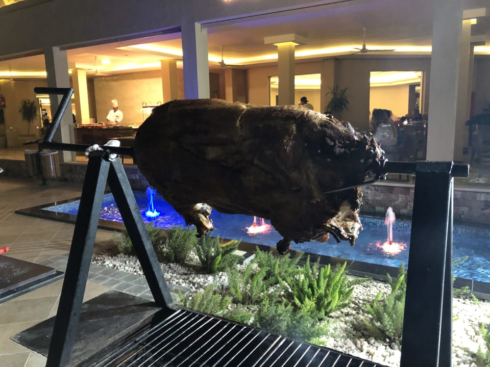 Gastro Pickalbatros Aqua Vista Resort - Hurghada
