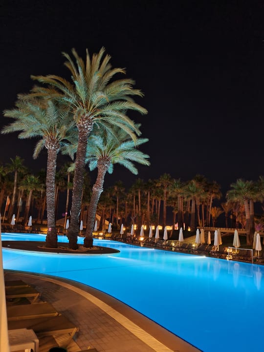 Pool Monachus Family Resort Sorgun