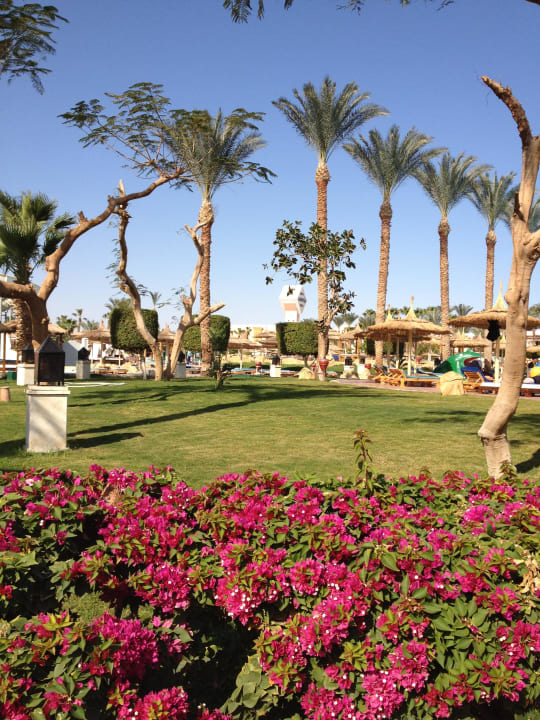 Gepflegte Gartenanlage Beach Albatros Resort