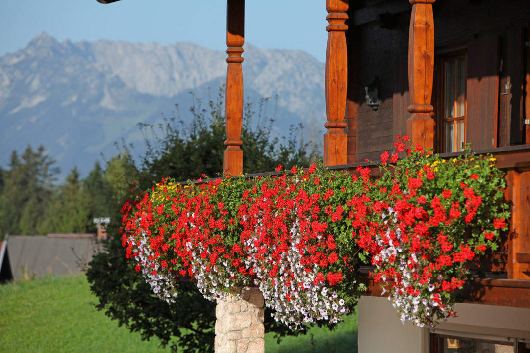 Blick vom Südbalkon aufs Kaisergebirge Ferienwohnungen Döllerer