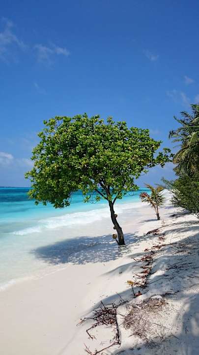 Strandabschnitt im Westen Kuredu Island Resort & Spa