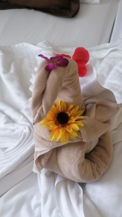 Zimmer Side Star Beach