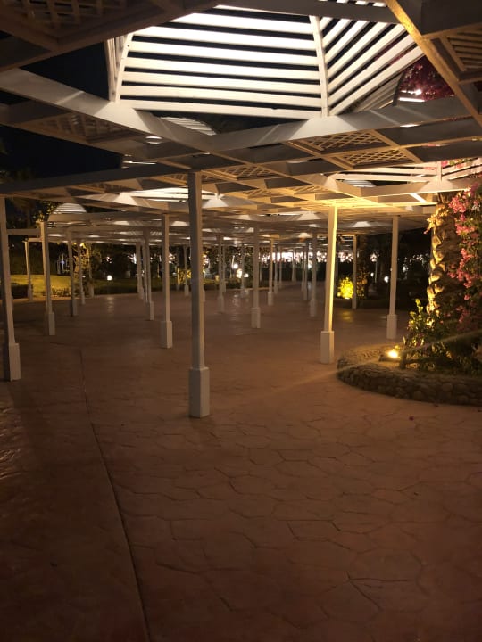 Gartenanlage Desert Rose