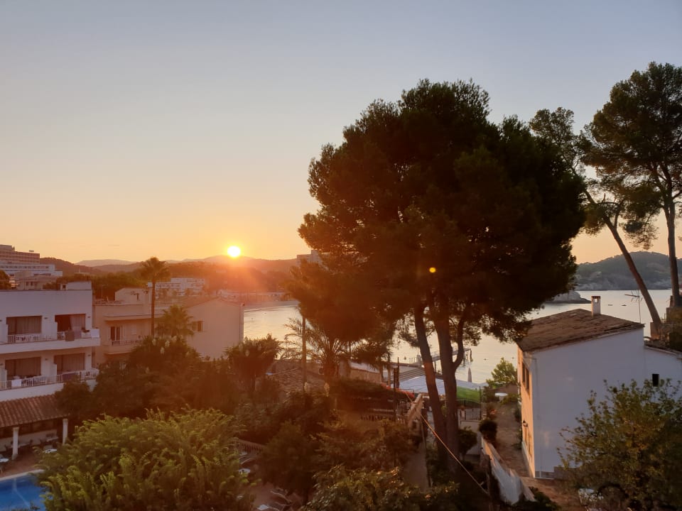 Ausblick FLOR los Almendros Hotel
