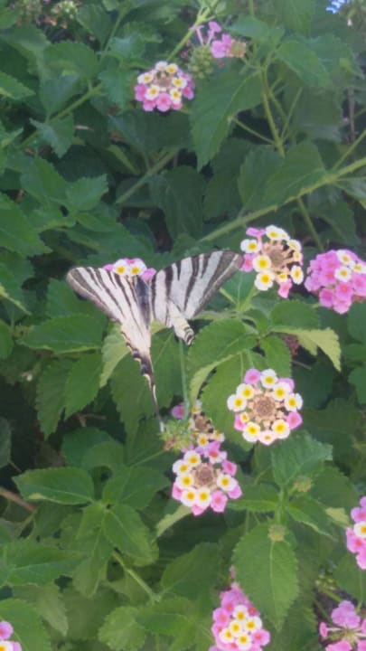 Sonstiges Aeolos Beach Resort