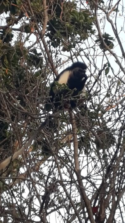 Gartenanlage Neptune Palm Beach Boutique Resort & Spa