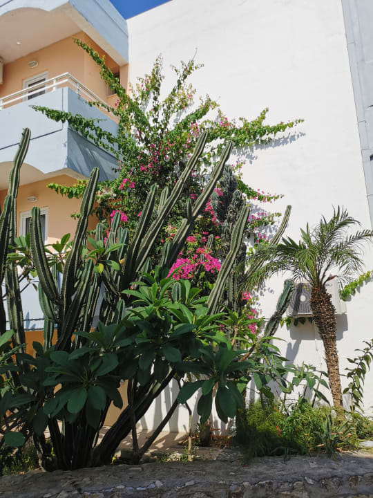 Außenansicht Hotel Kathrin Beach