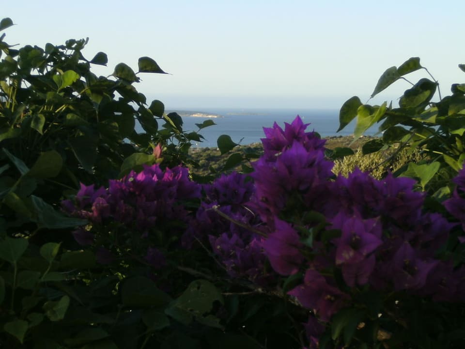 Blick von der Terrasse Hotel Micalosu