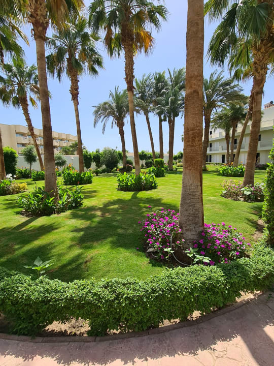 Gartenanlage Amarina Abu Soma Resort & Aquapark