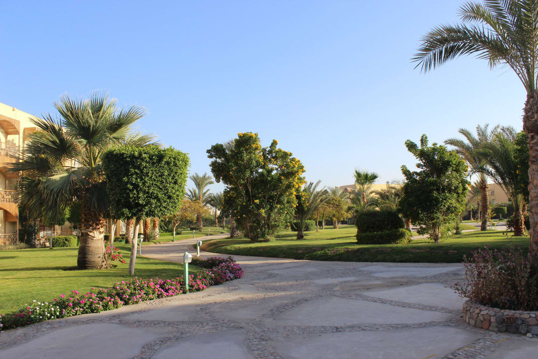 Территория отеля Desert Rose