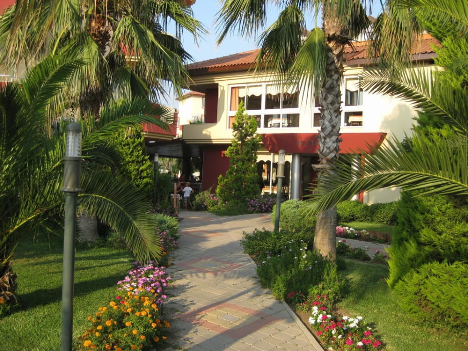 Palmen wohin man schaut! Hotel Orfeus Park