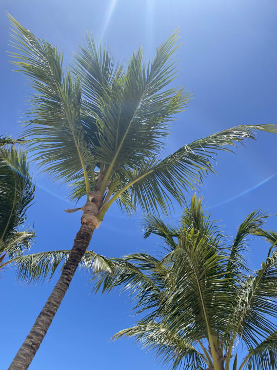 Strand Lopesan Costa Bávaro Resort, Spa & Casino
