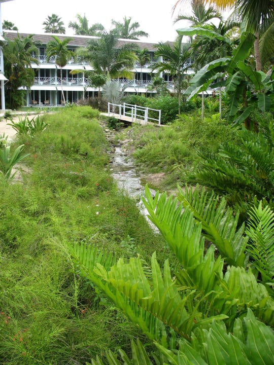 Innenhof mit Bachlauf Couples Negril - Adults only