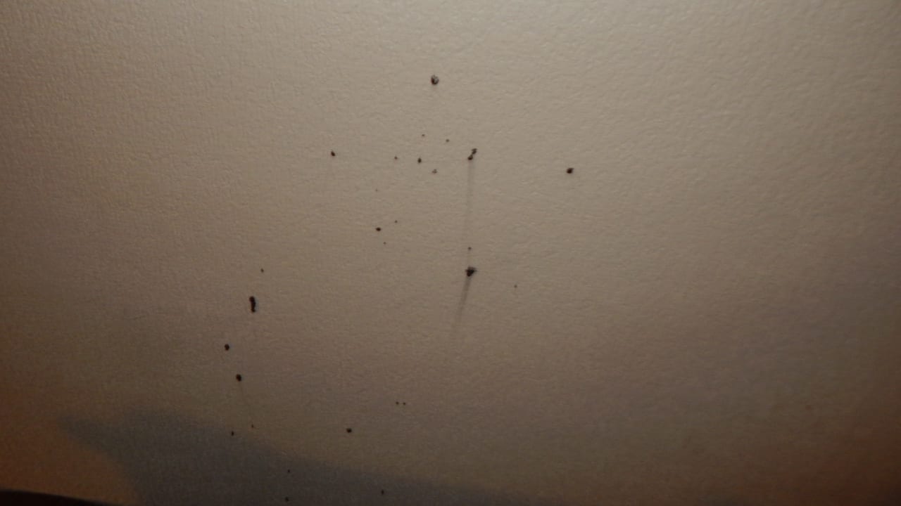 Zimmer Hotel Quality Inn Kingman