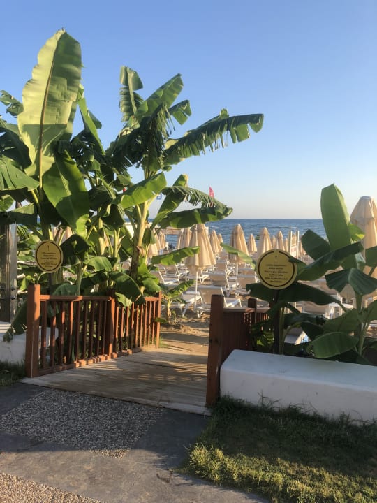 Strand Seaden Quality Resort & Spa