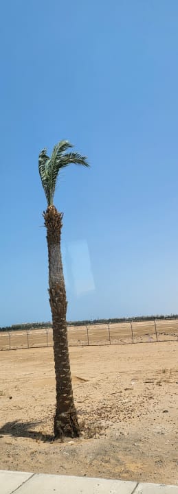 Sonstiges Steigenberger Aqua Magic