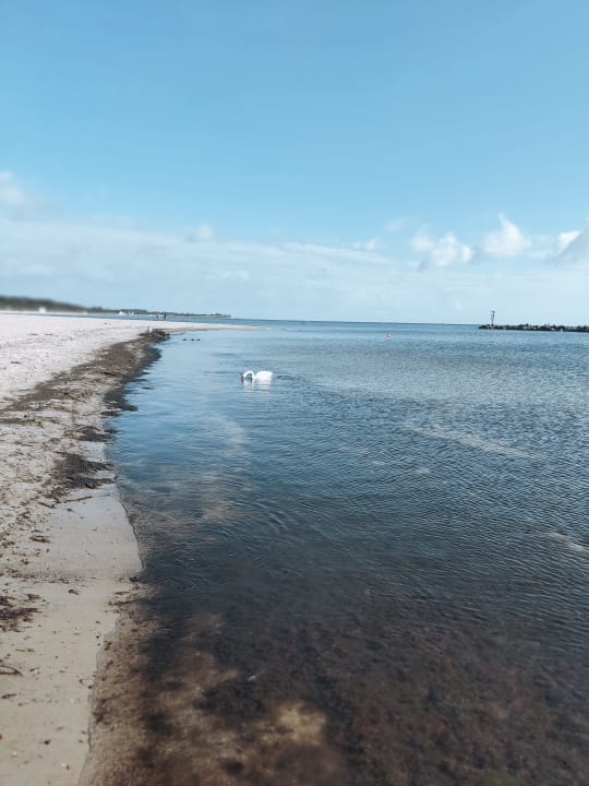 Strand Damp Ostsee Resort & Ferienpark