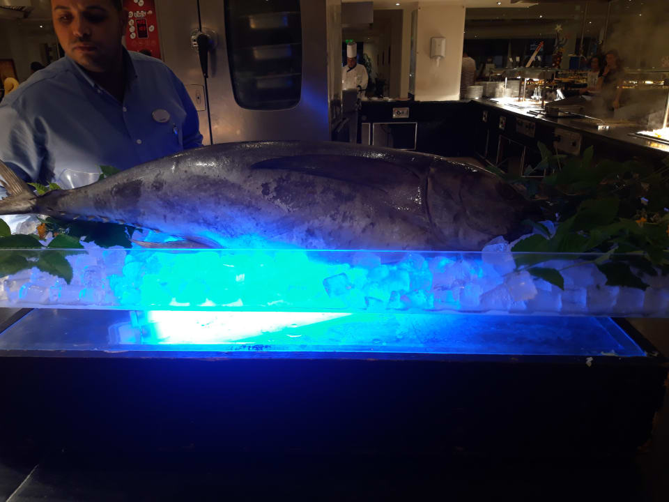 Sonstiges Cleopatra Luxury Resort Makadi Bay