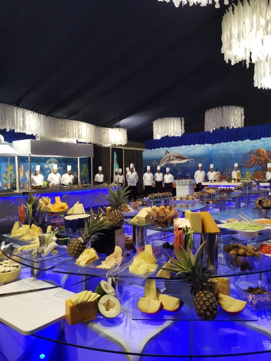 Gastro Pickalbatros Citadel Resort