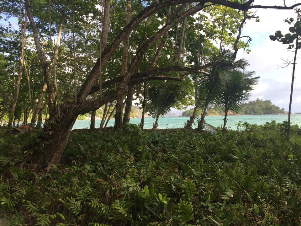 Ocean View Constance Ephelia