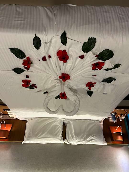 Zimmer Sherwood Dreams Resort