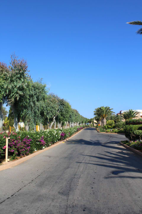 Die Strasse zum Hotel Anissa Beach & Village