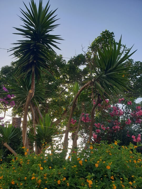 Außenansicht RG NAXOS Hotel