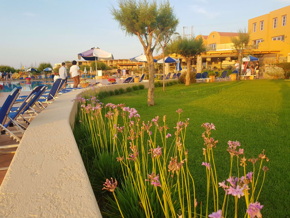 Gartenanlage Calimera Sirens Beach